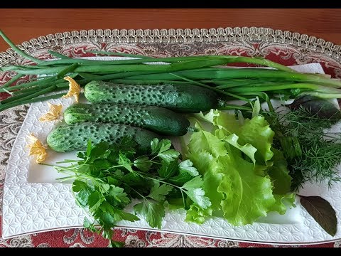 Видео: ГРЯДКА НА БАЛКОНЕ. ПЕРВЫЙ УРОЖАЙ.