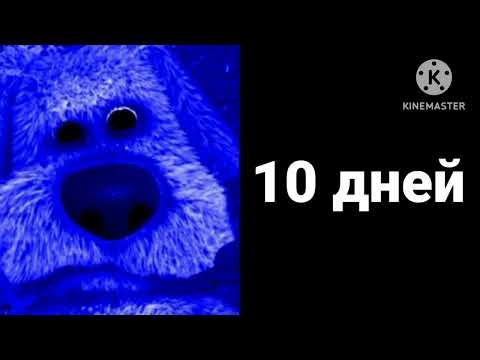 Видео: Твоего кота нету дома: