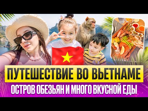 Видео: Гуляем по островам Вьетнама вместе с @koreakangfamily /огромный шведский стол с лобстерами 🦞