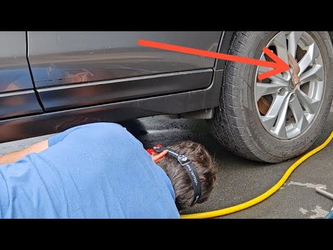 Видео: Плюющаяся Кобра забралась к ним в машину!!