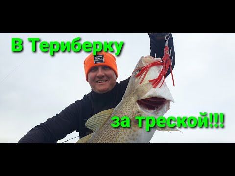 Видео: На рыбалку за Полярный круг!!! Териберка ЧАСТЬ 1.