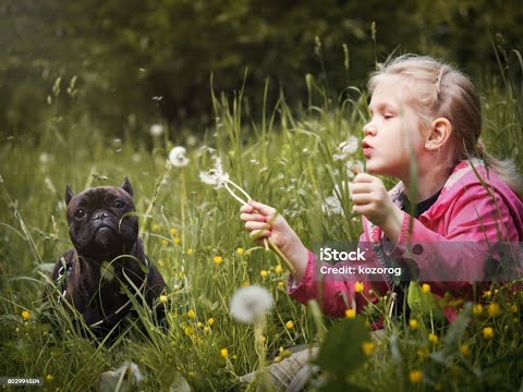 Видео: 🍀🌺 ЩЕ СЕ СБЪДНАТ ЛИ ЖЕЛАНИЯТА ТИ 🌺 Съобщения за теб🍀🌺