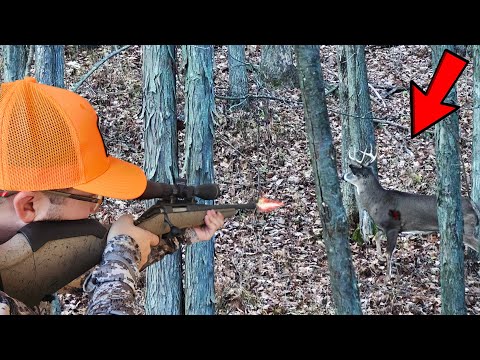 Видео: Открытие выходных Buck! Лагерь охоты на оленей в Нью-Йорке