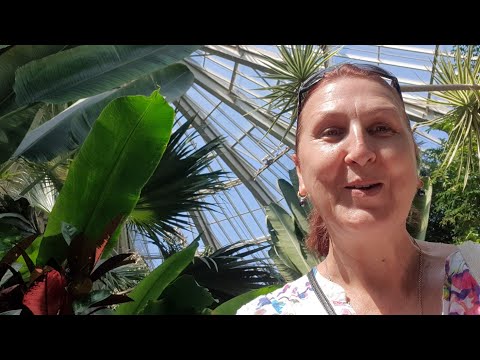 Видео: Каникулы в Ницце 2020.Экзотическая Прогулка .Будет Даже Страшновато Parc Phoenix Nice День 3 Часть 2