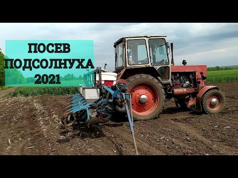 Видео: ПОСЕВ ПОДСОЛНЕЧНИКА "SYNGENTA" КУПАВА И АРИЗОНА 2021 ///ЮМЗ-6 И СУПН-8 !!!