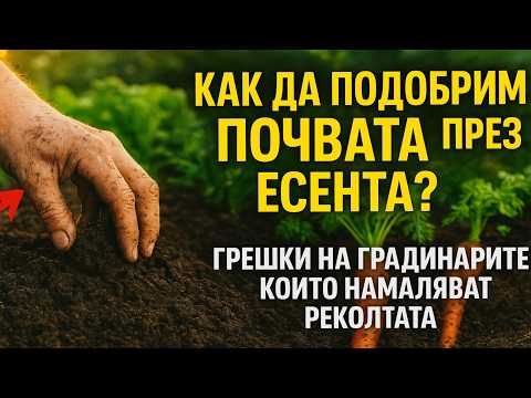 Видео: Как да подобрим почвата през есента? 🌱 Грешки на градинарите, които намаляват реколтата.