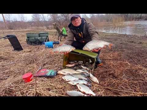 Видео: ВСЯ ВЕЛИКА ПЛІТКА ЗБИЛАСЯ НА МІЛЯКУ.Рибалка на плітку весною