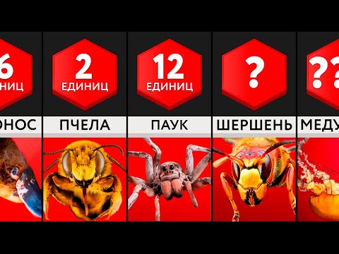 Видео: Самые Болезненные Укусы