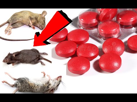 Видео: Как избавиться от мышей за 02 минуты!