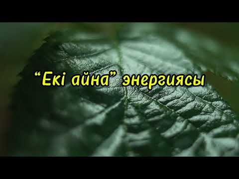 Видео: “Қос айна” энергиясы. Біреудің тағдыры арқылы өзіңдікің көресің.