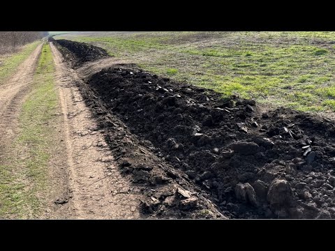 Видео: Затоптане поле через два дні після оранки межі -щоб знав,як орати границі)).