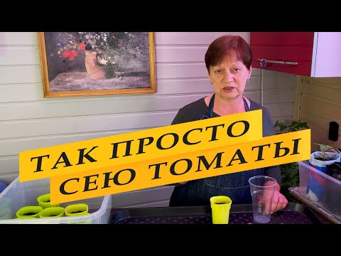 Видео: Полезные советы. Посев семян томатов.