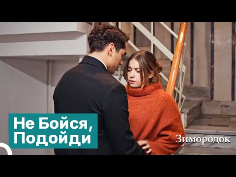 Видео: Между Нами Непреодолимое Притяжение | Зимородок