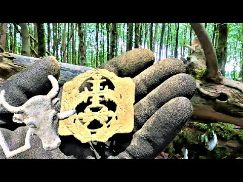 Видео: Так не бывает, полный лесок находок! Я тут первый...