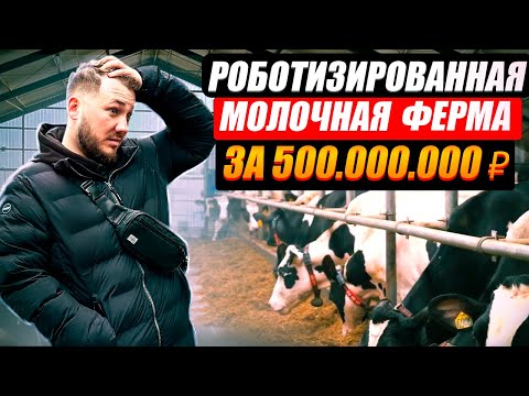 Видео: Молочная ферма как бизнес. Агрокомплекс с роботами. Животноводство / Антон Пермяков