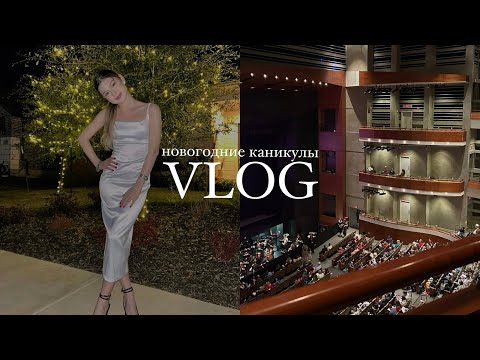 Видео: VLOG// мои новогодние каникулы в сша
