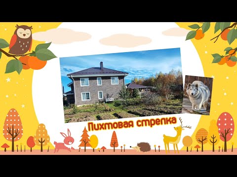 Видео: Пихтовая стрелка в Перми 6.10. 2025 года