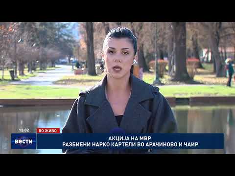 Видео: Акција на МВР: Разбиени картели во Арачиново и Чаир