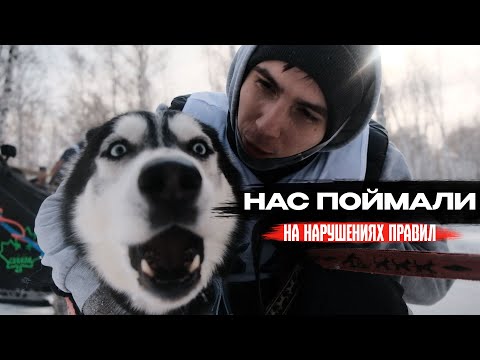 Видео: Мы сами не знали что мы НАРУШАЕМ ПРАВИЛА | Гонка на собачьих упряжках