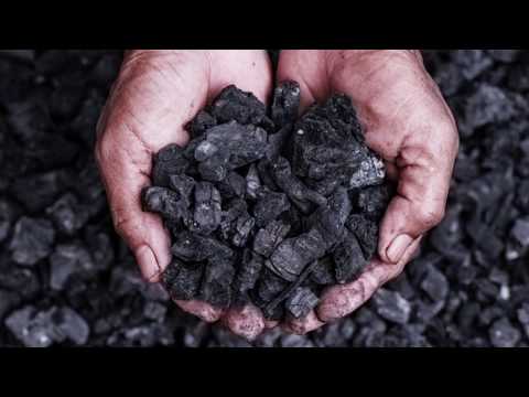 Видео: Биосфера земли