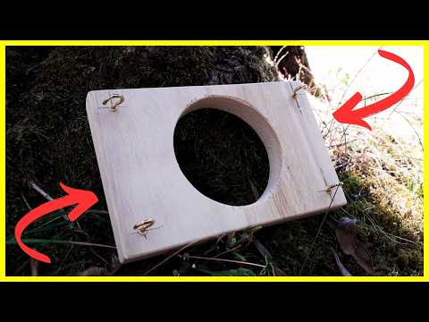 Видео: Заработок на деревообработке: 2 идеи для начинающих!