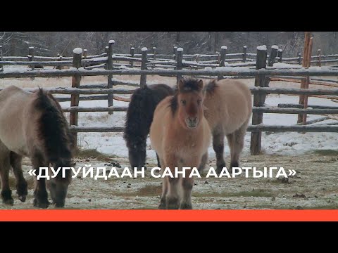 Видео: «Дугуйдаан саҥа аартыга» 4ч  (02.03.23)