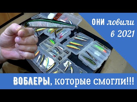 Видео: Воблеры, поймавшие в 2021 году. Китай и Япония.