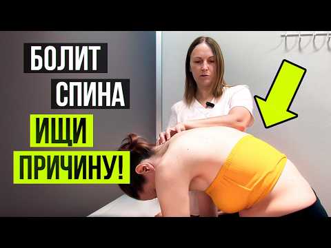 Видео: ПОЧЕМУ болит спина? Как найти причину?