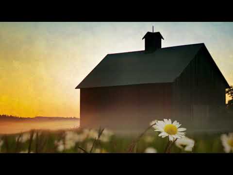 Видео: Не отдам. Елена Решетняк