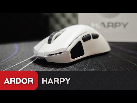 Видео: Обзор Ardor Harpy. Удобная мышь с экраном за 4к