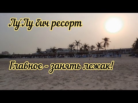 Видео: ОАЭ - 2023. Отель Lou'Lou a beach resort Sharjah. Утренний КВЕСТ - займи лежак с зонтиком! #loulou