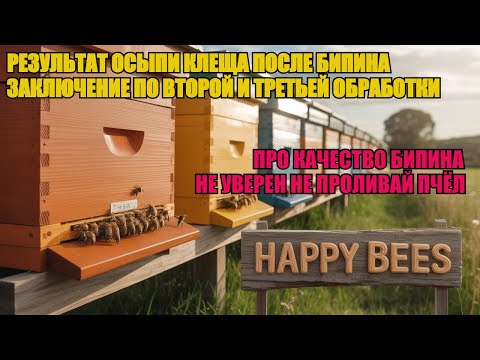 Видео: Результат ОБРАБОТКИ ПЧЁЛ БИПИНОМ ОСЫПЬ КЛЕЩА условия ВТОРОЙ ОБРАБОТКИ В КАКОМ СЛУЧАЕ НУЖНА ✅☝️🐝