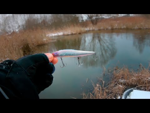 Видео: Эта ПРИМАНКА меня УДИВИЛА! Зимний спиннинг. Твичинг в мороз. Иван Кашицин.