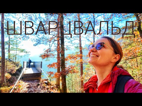 Видео: Черный Лес в Германии / Заходим в самые большые часы-кукушку в мире :) Триберг