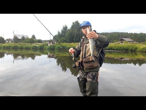 Видео: ЩУКА, ОКУНЬ НА ВОБЛЕРЫ И ДЖИГ. РЫБАЛКА НА СПИННИНГ НА РЕКЕ.