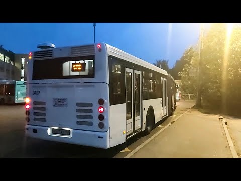 Видео: Автобус, маршрут №172 ЛиАЗ-6213.20 б.2407 (30.08.2023) Санкт-Петербург
