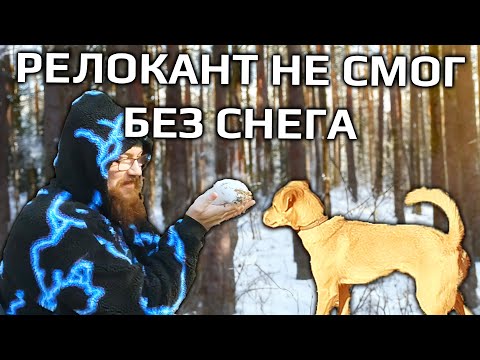 Видео: Мне очень не хватало снега, по этому я решил поехать ...