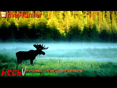Видео: theHunter Classic | Рубрика: Помощь новичкам | Лось - начало | цепочка миссий на Лося
