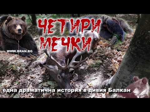 Видео: ЧЕТИРИ МЕЧКИ