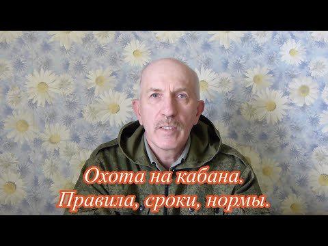 Видео: Охота на кабана, правила, сроки, способы