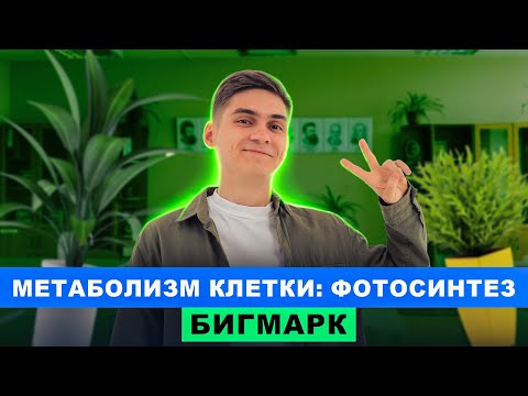 Видео: Метаболизм клетки: Фотосинтез | Интенсив БигМарк | Марк Ламарк