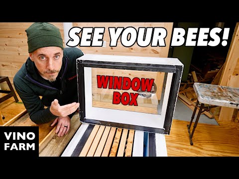 Видео: Прозрачные крышки для ульев! (Серия «Строительство пчелиного сарая» — Часть третья)