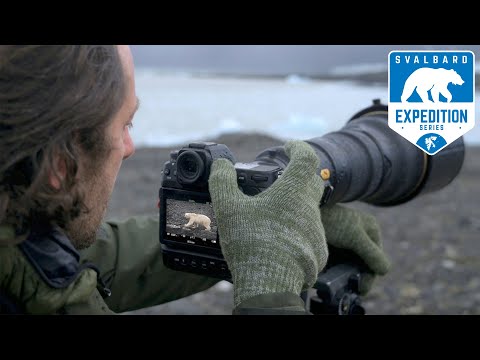 Видео: Встреча с белым медведем | NIKON Z9 на Шпицбергене — Эп.5