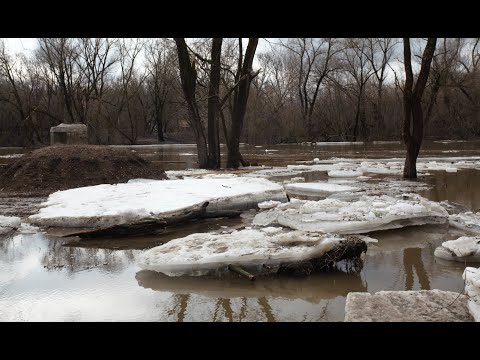 Видео: Новую набережную смыло | Половодье на Наре и Оке 2023 | Плотина | Ледоход в Серпухове