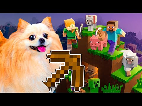 Видео: НОВЫЙ СЕЗОН МАЙНКРАФТ! СТРОЮ ПЕРВЫЙ ДОМ ! ПЕРВАЯ НОЧЬ В МАЙНКРАФТ ! Minecraft