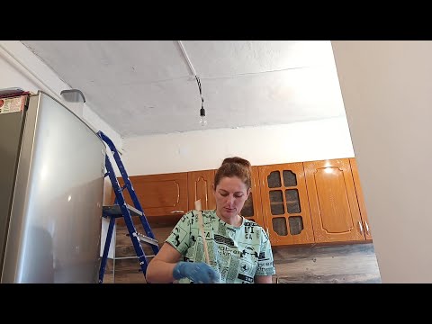 Видео: ДОМ НА ЮГЕ./ КУПИЛИ ДВЕРЬ В ВАННУЮ./ ЦВЕТЫ/ ПОКРАСИЛА ПОТОЛОК./