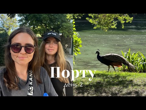 Видео: парк с павлинами I неделя влогов, день 2