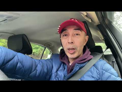 Видео: Туалетный Нью-Йорк