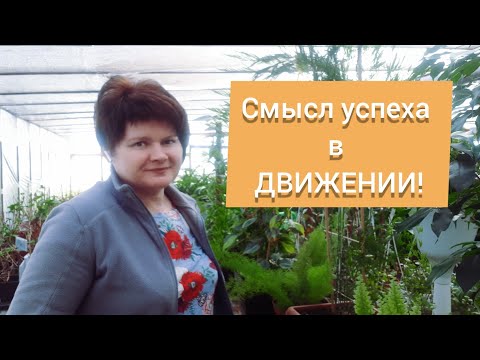 Видео: Новые возможности для всех!