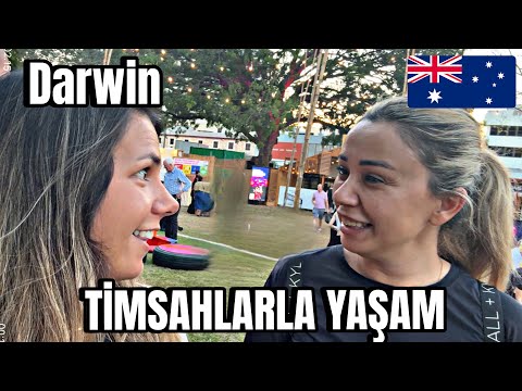 Видео: Дарвин, город крокодилов — Северная Территория — Австралия 🇦🇺